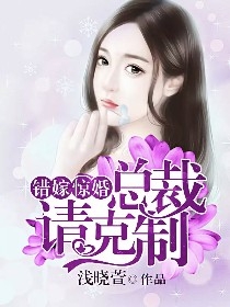 错嫁惊婚:总裁请克制