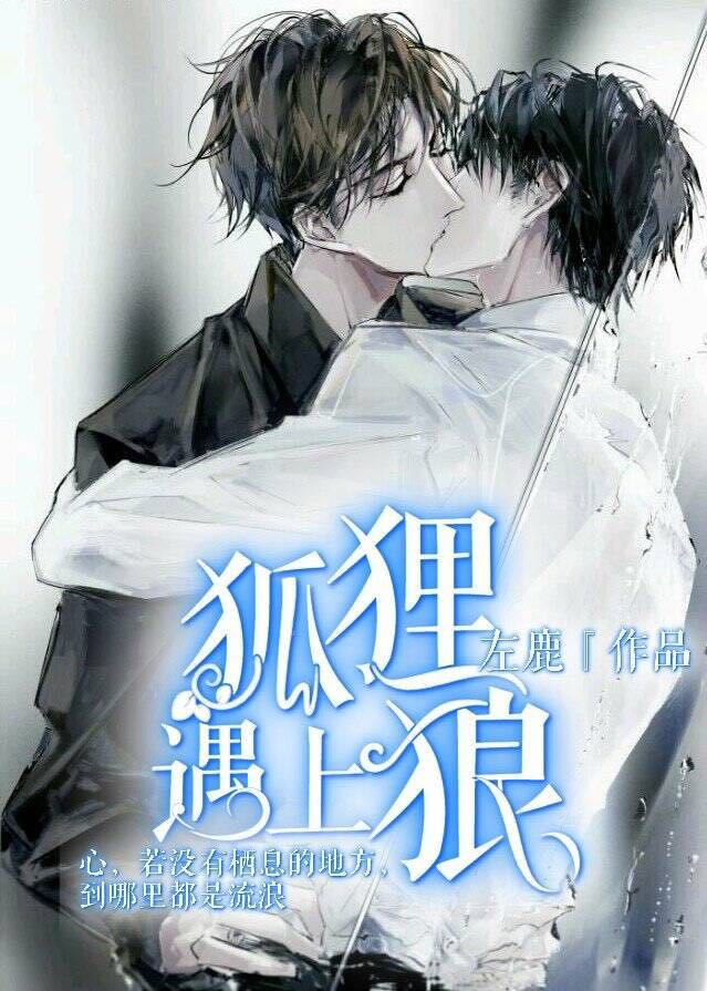 狐狸遇上狼