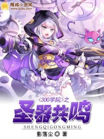 300学院之圣器共鸣