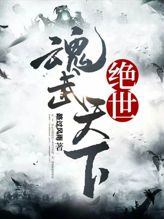 绝世魂武天下