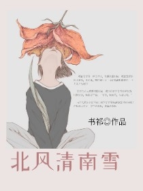 北风清南雪
