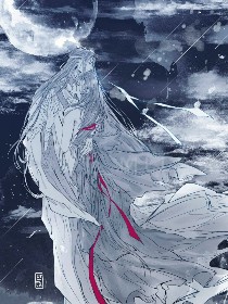 魔道祖师后续系列