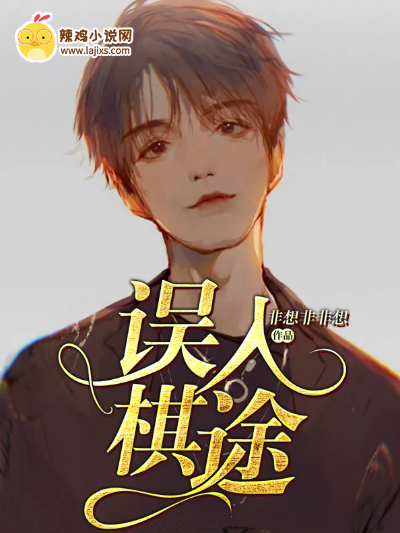 误入棋途
