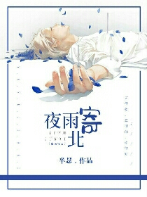 夜雨寄北