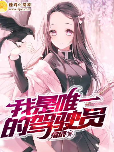 我是唯一的驾驶员
