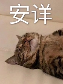 祖安世界